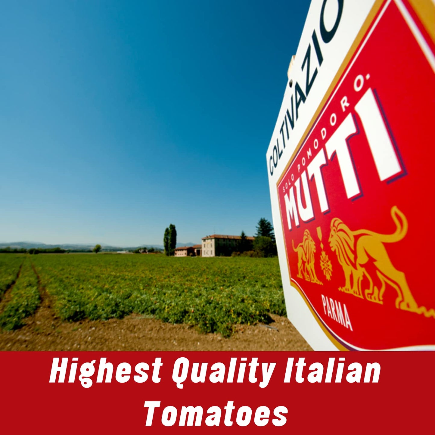 Mutti Crushed Tomatoes (Polpa), 14 oz. | 6 Pack | Italy’s #1 Brand of Tomatoes | Fresh Taste for Cooking | Canned Tomatoes | Vegan Friendly & Gluten Free | No Additives or Preservatives